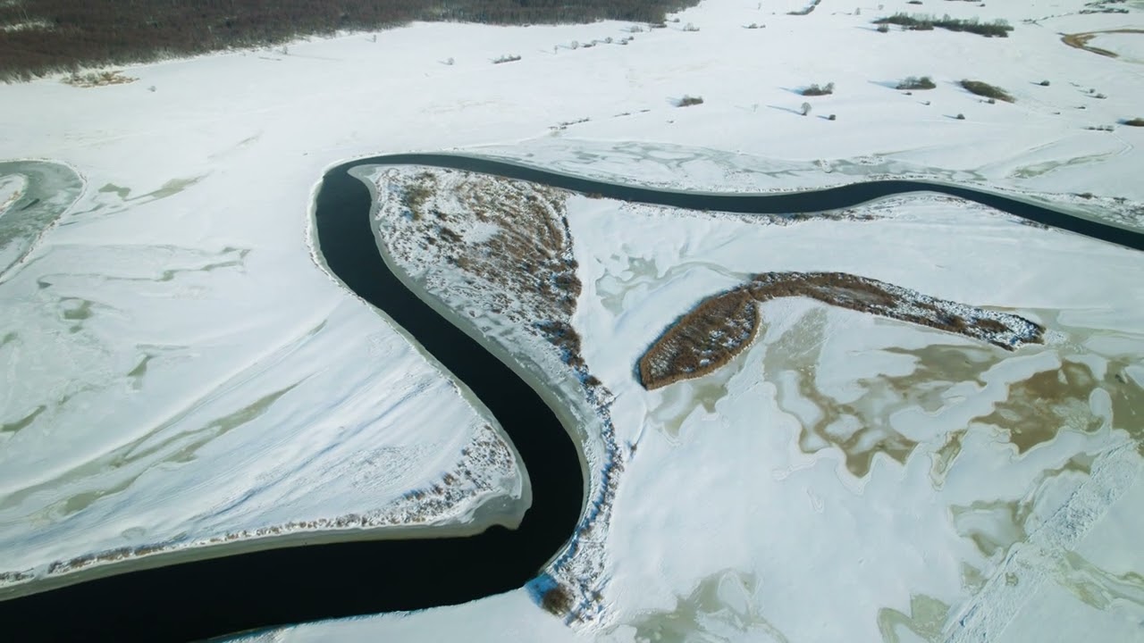 RZEKA NAREW. DRON, OKOLICE PNIEWA