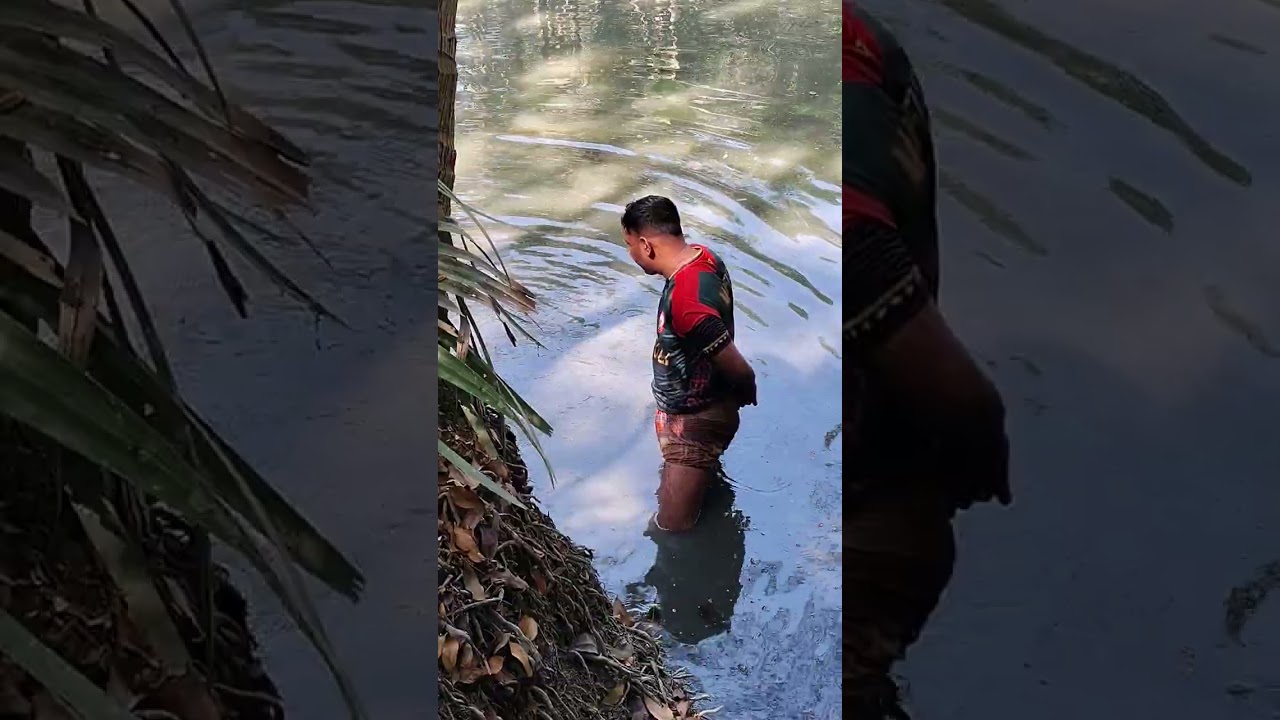 আজকে পুকুরে কি পরিমানে মাছ পেলাম দেখুন