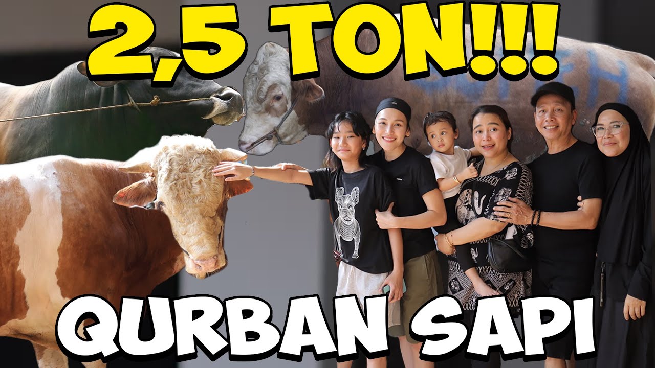 IDUL ADHA 1446 AYU TING TING QURBAN SAPI 2,5 TON!!!