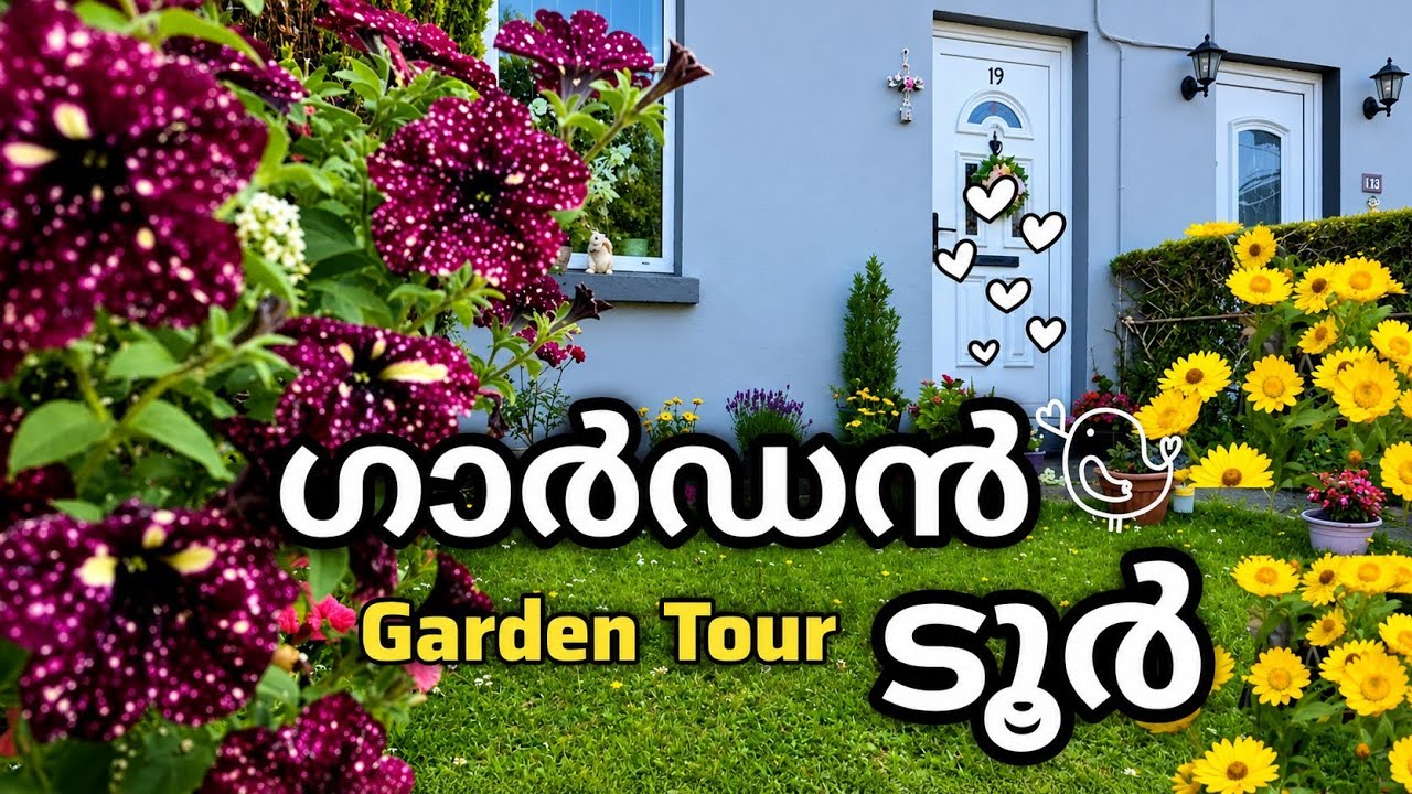 ഗാർഡൻ ടൂർ 🌸🌿🦋 | Garden Tour 🌸🌿