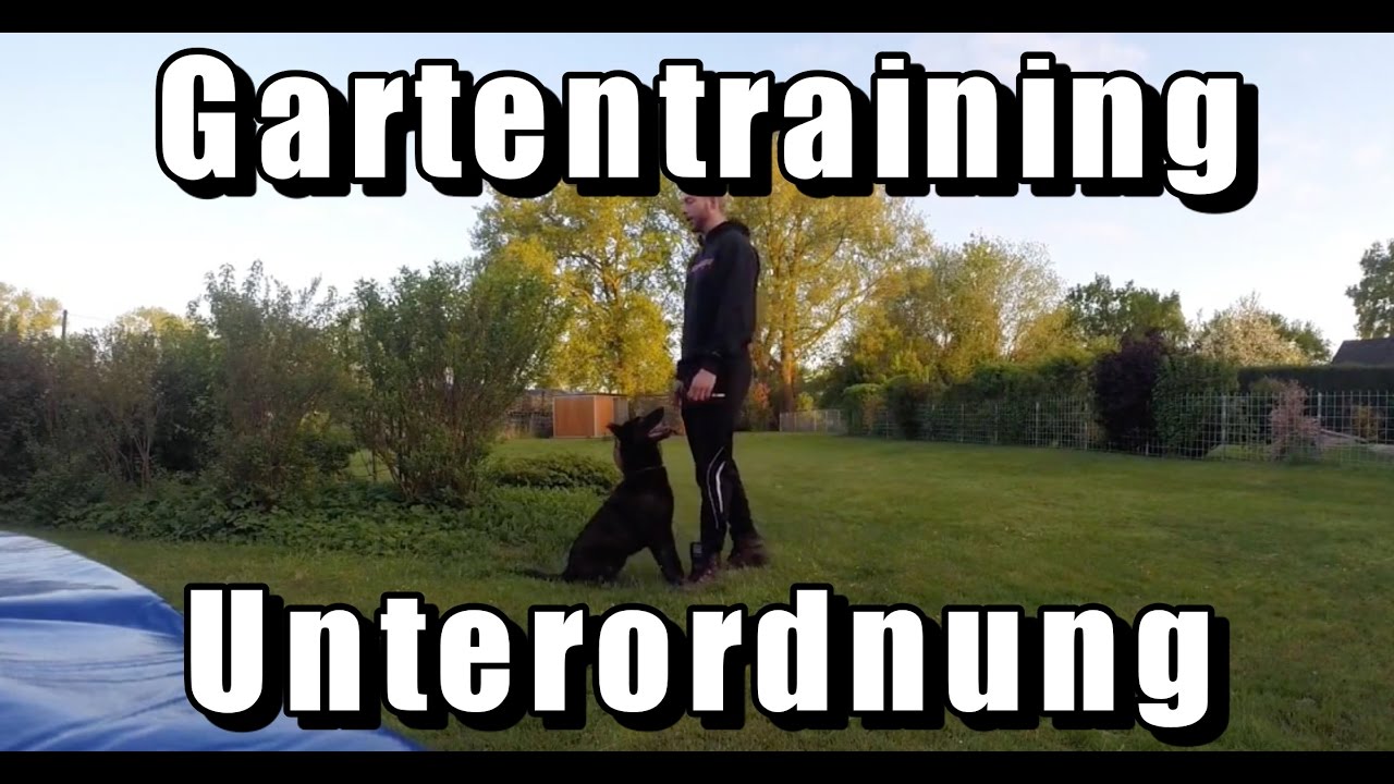 Gartentraining mit Akido | Tony Kliebisch