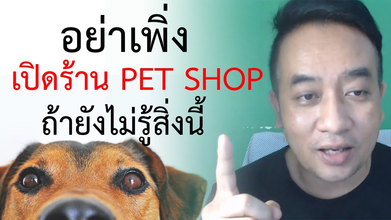 อย่าเพิ่งเปิดร้าน PET Shop  เปิดร้านอาหารสัตว์ เปิดร้าน pet shop ดีไหม คลิปนี้มีคำตอบ
