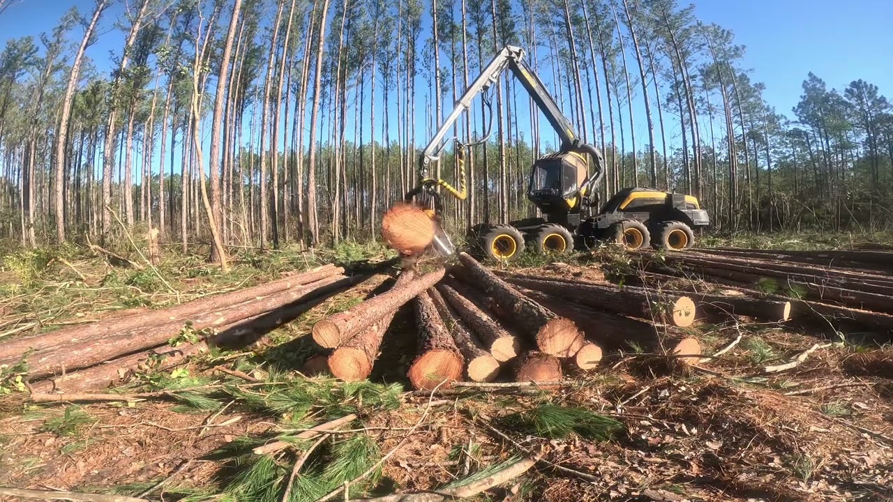 Must watch!! Most amazing Heavy Equipment!!!! #viral #ponsse #tree #usa #