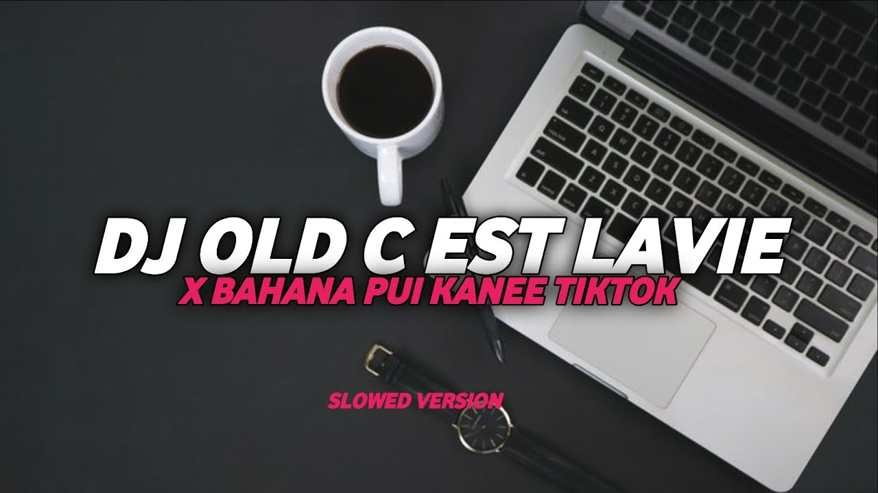 Dj Old C est Lavie x Bahana Pui Sound Viral Tiktok 2025 ( Slowed + Reverb ) 