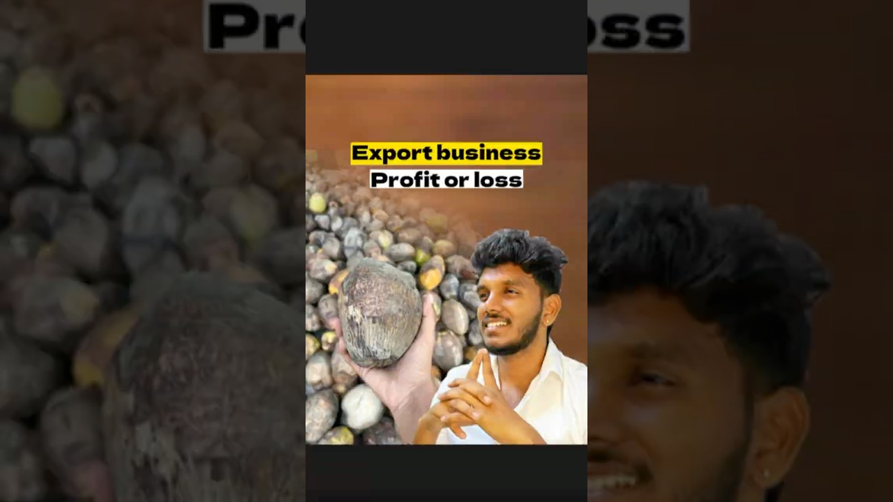 Coconut Export full process 🔥 #coconut #export #business #exportbusiness #shorts