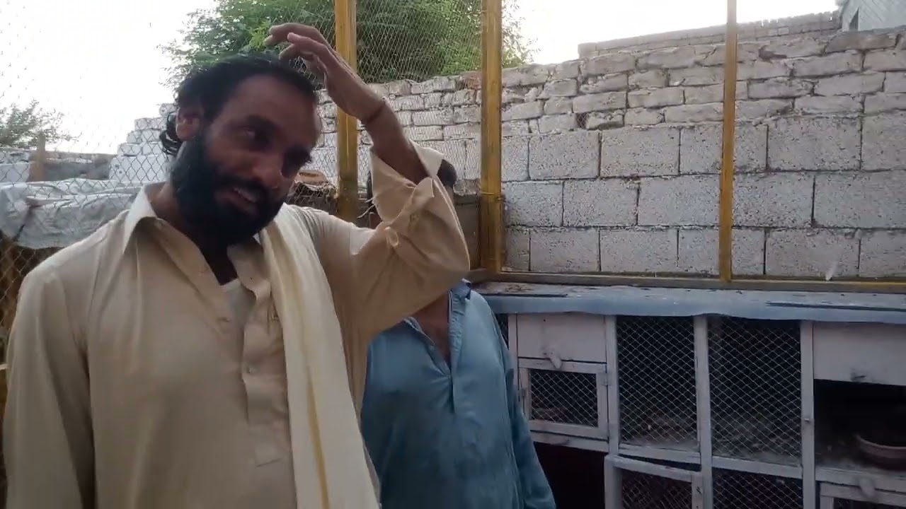 Ustad Mushtaq Ahmad pigeon Sale point Mianwali ka visit