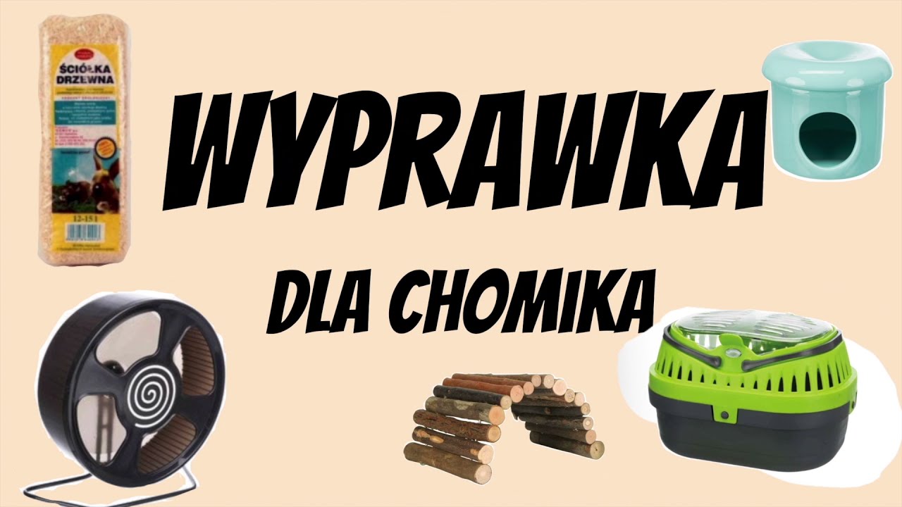 Wyprawka Dla Chomika