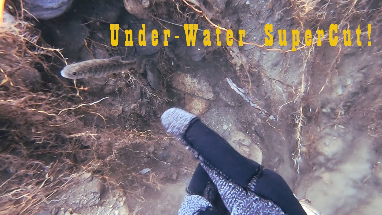 Dredging Alaska (Just the Underwater Bits #1)