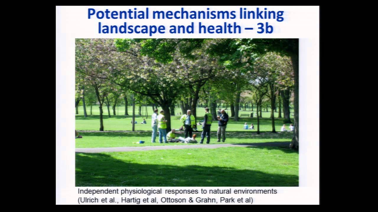 Environment, health and resilient cities: what constitutes salutogenic environments?