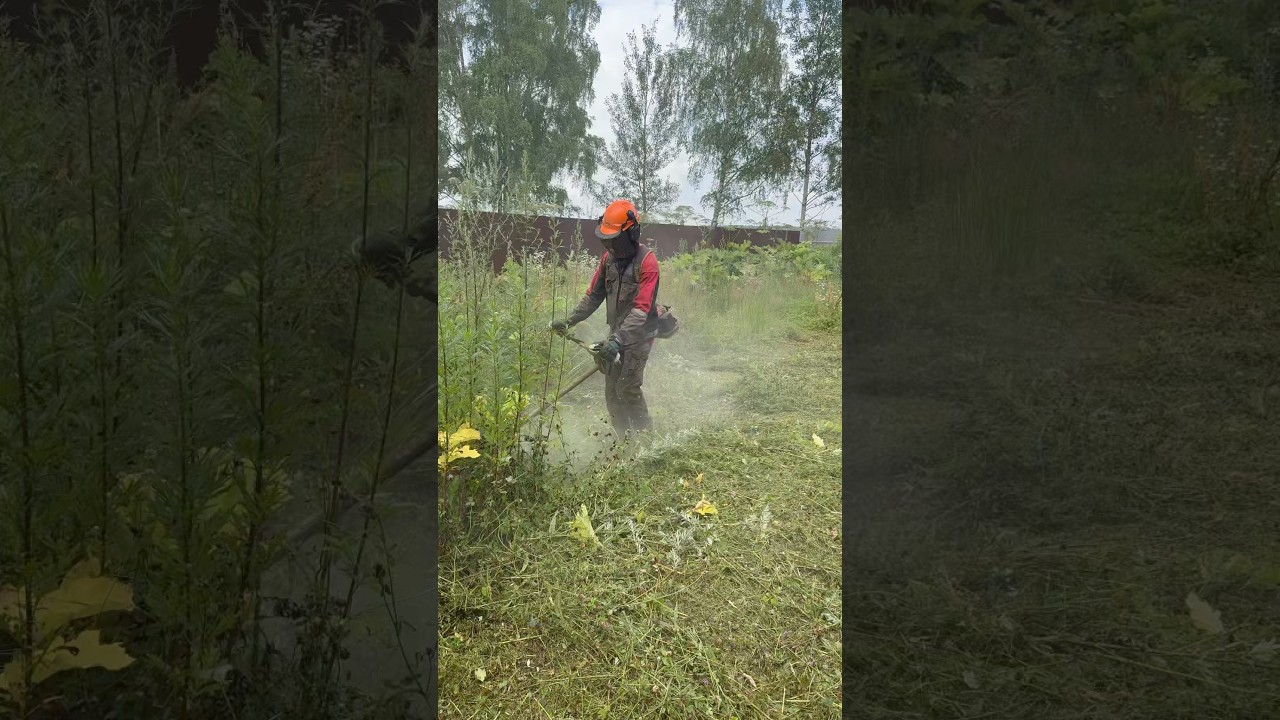STIHL fs 561 #stihl #husqvarna #дача #огород #покос