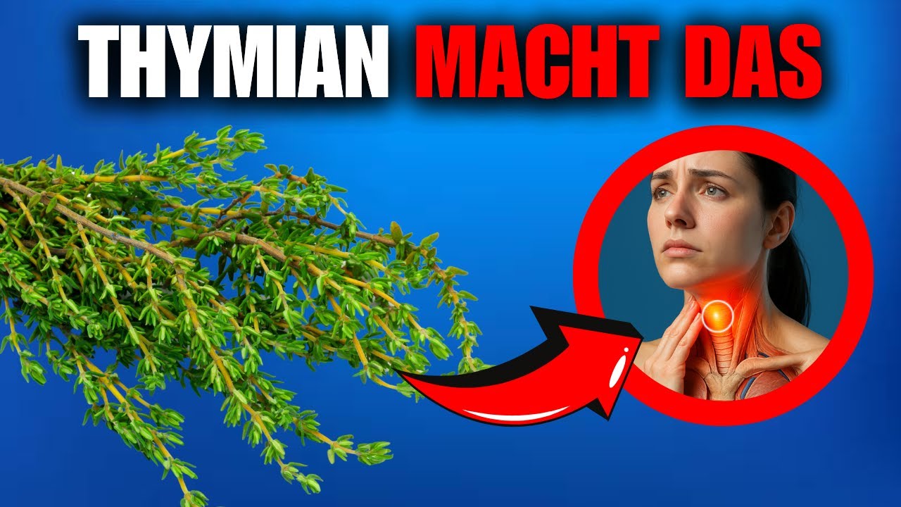 WUSSTEST DU DAS &Uuml;BER THYMIAN? DIESE PFLANZE IST PURE MAGIE F&Uuml;R DEN K&Ouml;RPER