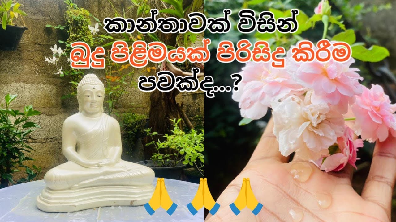 කාන්තාවක් විසින් බුදුපිළිමයක් පිරිසිදු කිරීම පවක්ද..🤔 /@BuddhisStory / #buddhi /🙏🙏🙏/ 🌷🌹