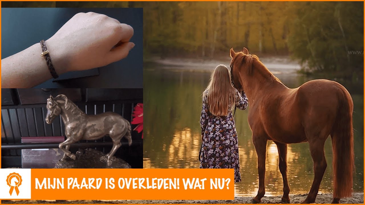 De prijs van het overlijden van je paard? | PaardenpraatTV