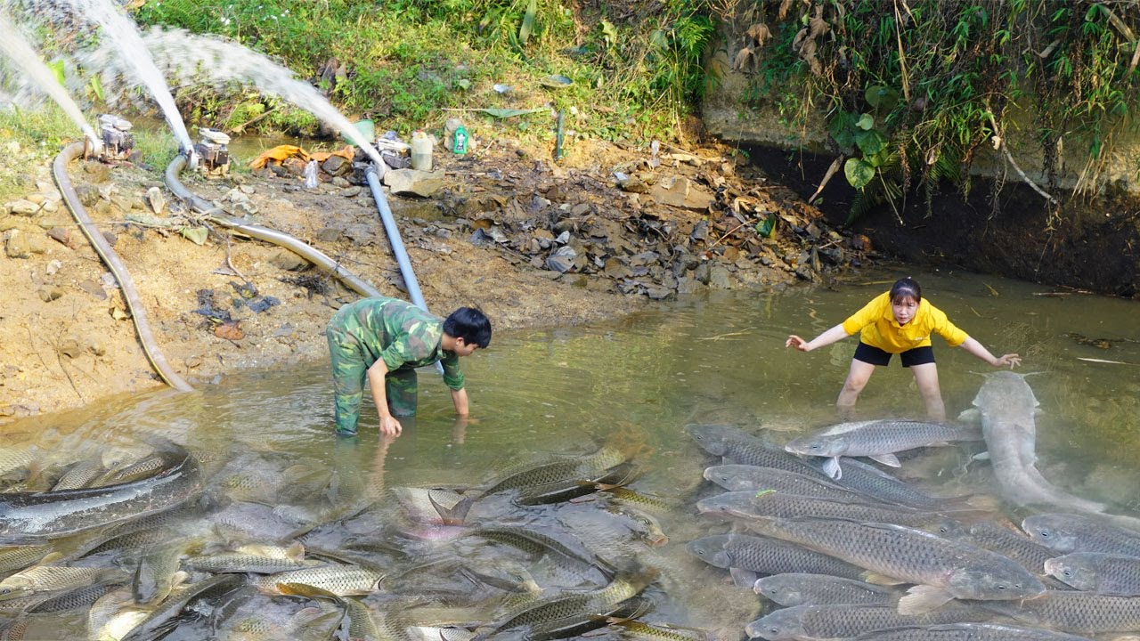 Do you believe fishing? Use 3 pumps to drain the stream and unexpectedly met a big school of fish