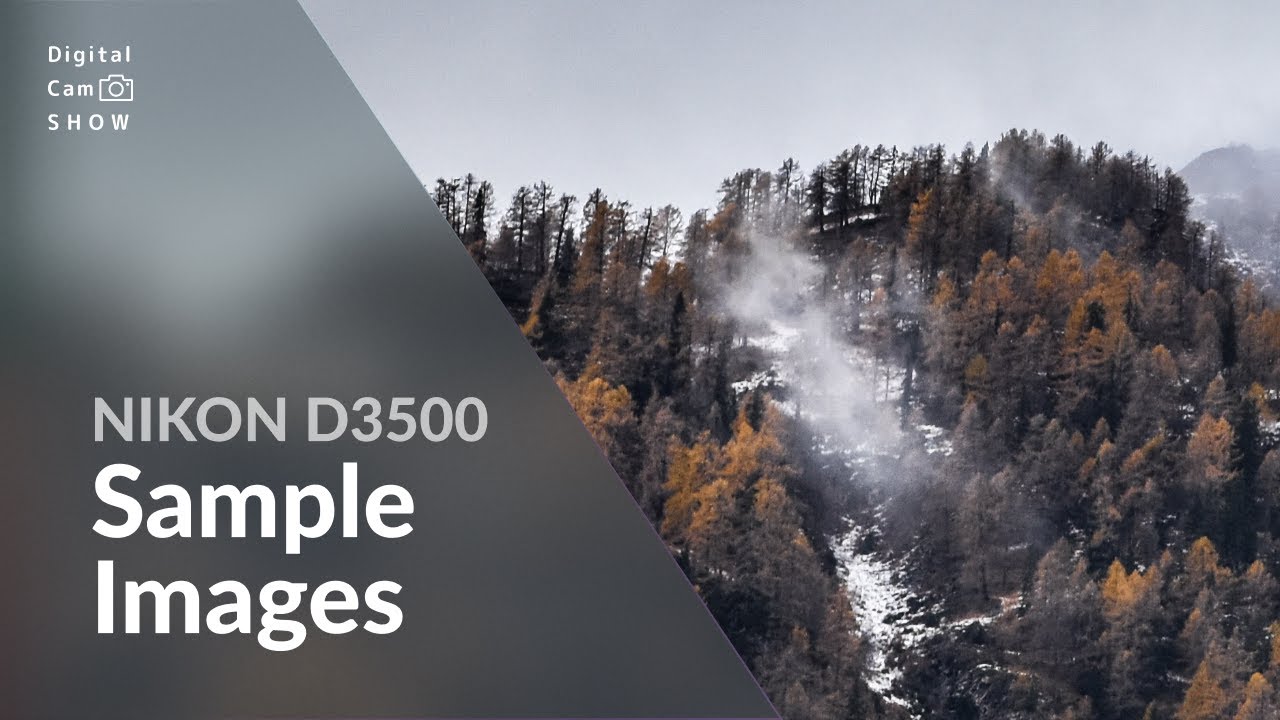 Nikon D3500 Sample Images With Camera Settings in photography