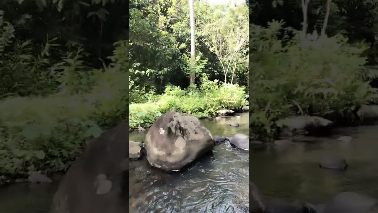 Natatagong ganda ng kalikasan 