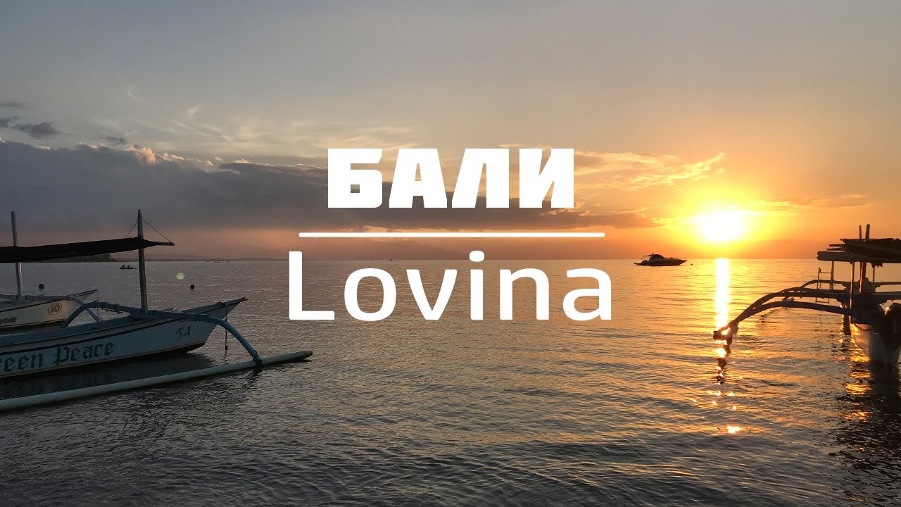 Поездка в Ловину | Дельфины | Снорклинг | Где искать актуальные новости Бали