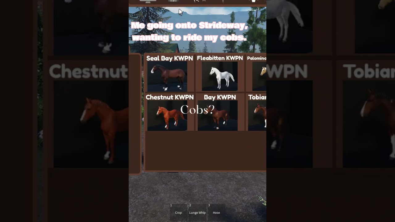 My cobs are gone !  #horse #horsey #strideway #roblox #cobs #horseriding