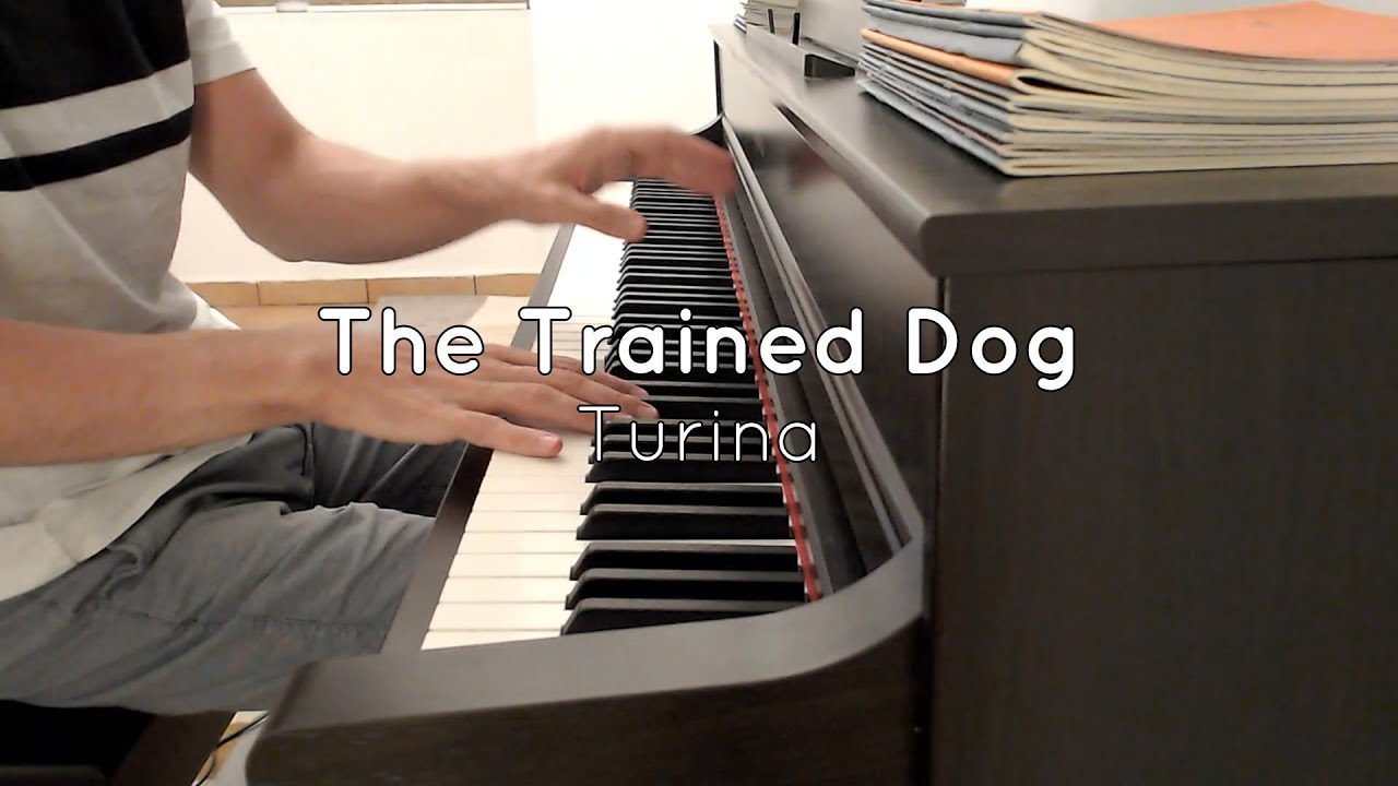 Turina - The Trained Dog