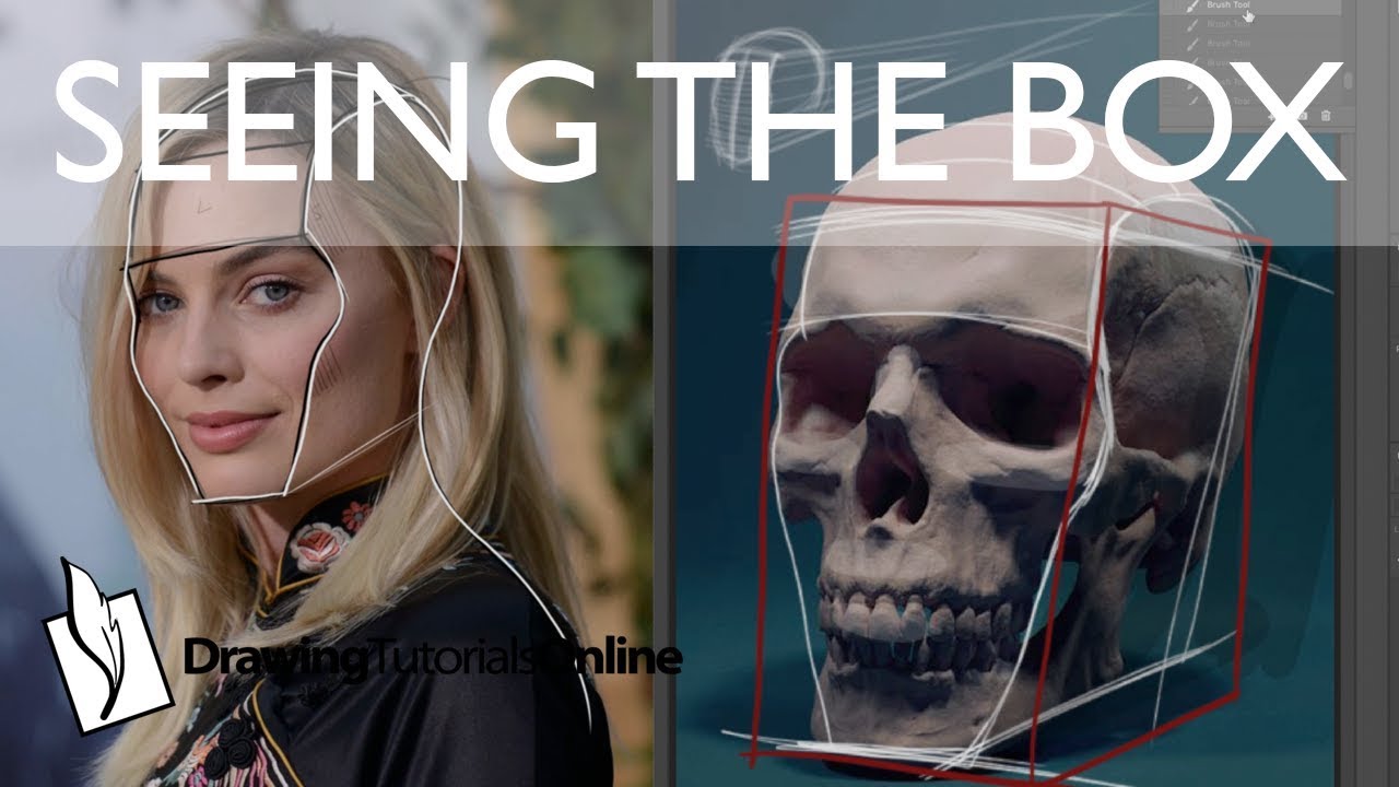 Seeing The Head As A Box