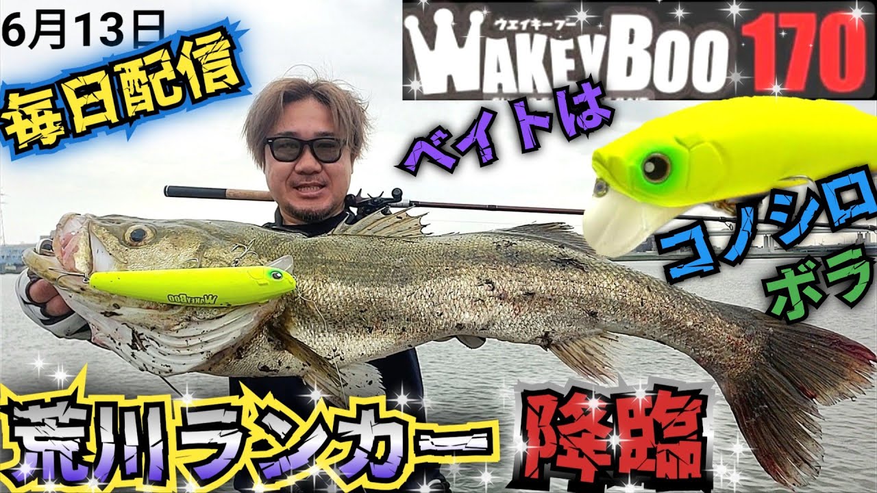 ついに出た！【荒川ランカーシーバス】降臨！ 初夏の大きめベイトパターンにウェイキーブー170！  #LONGIN #Fishman #ウェイキーブー #IMZリミットブレーカー #コノシロパターン