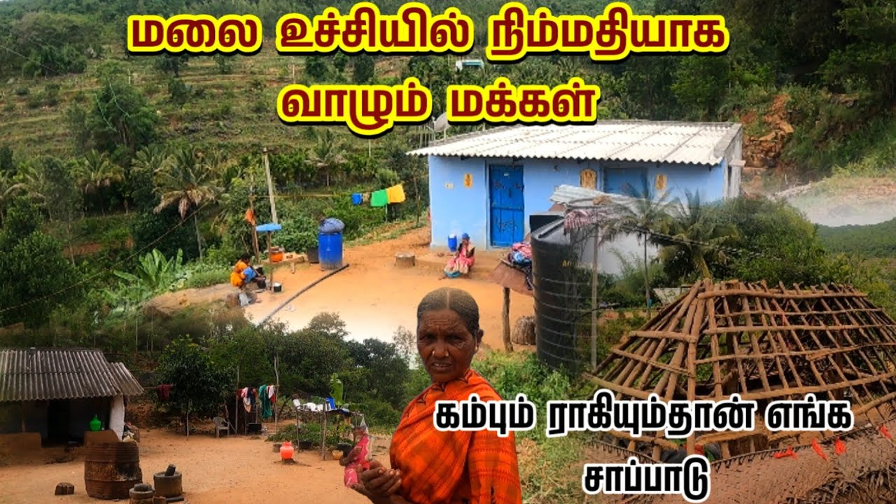 மலை உச்சியில் நிம்மதியான வாழ்க்கை | கம்பும் ராகியும்தான் எங்க சாப்பாடு | பெலாபாடி சேலம் |