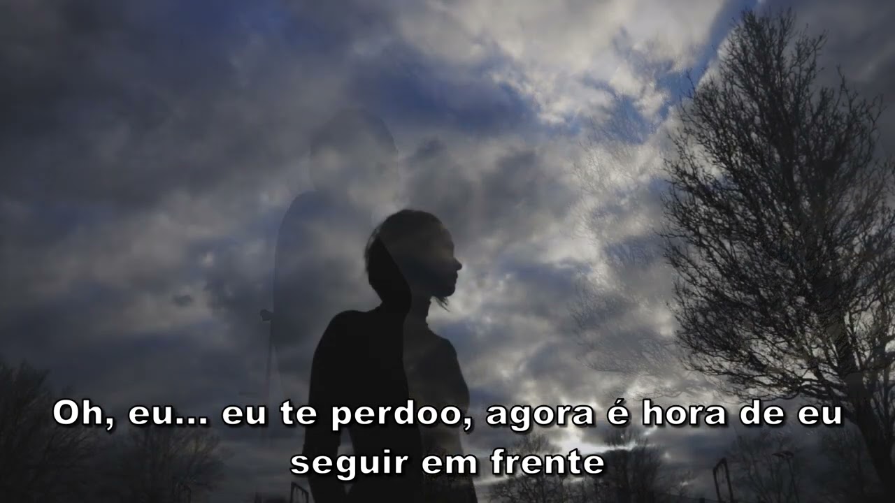 Sia - I Forgive You (Tradução)