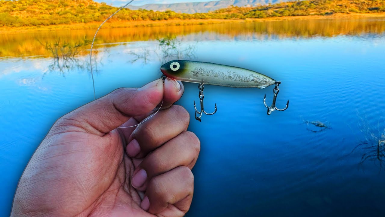 Pesca de ORILLA con este efectivo señuelo de superficie en pleno INVIERNO | Se escucharon disparos 😱