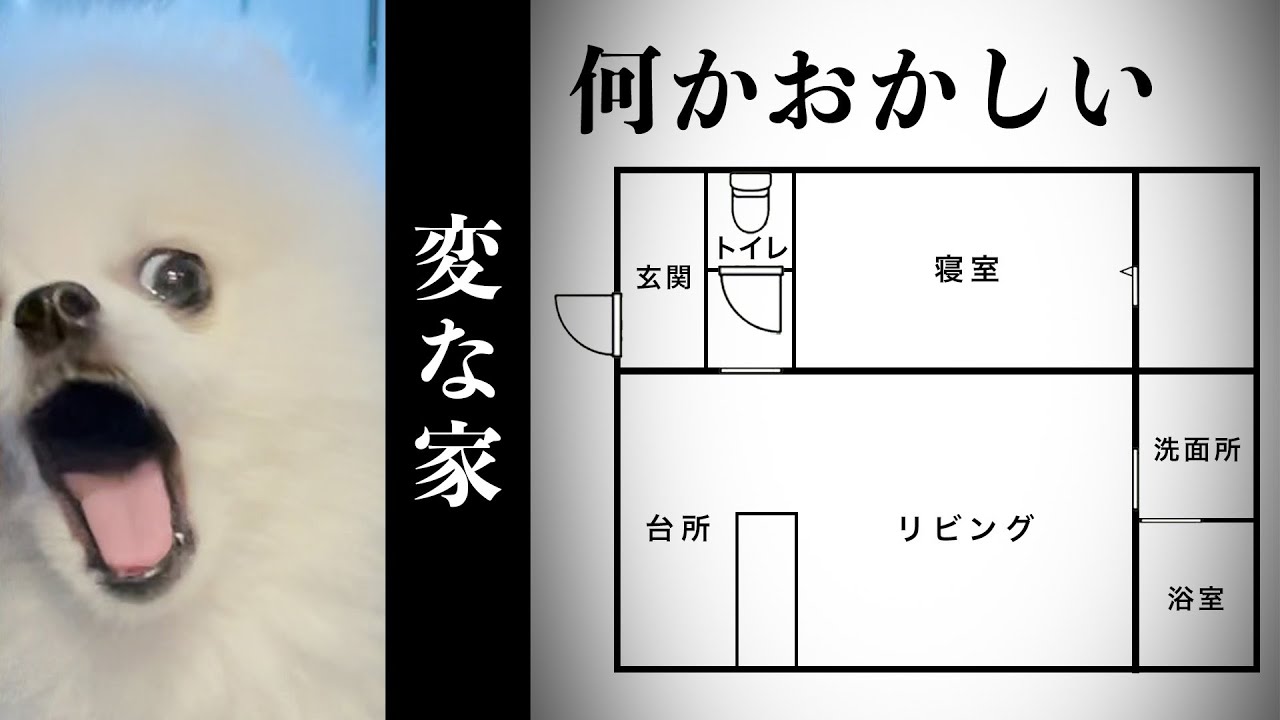 【変な家】自分が住む家の異常さに気づいてしまったポメラニアン