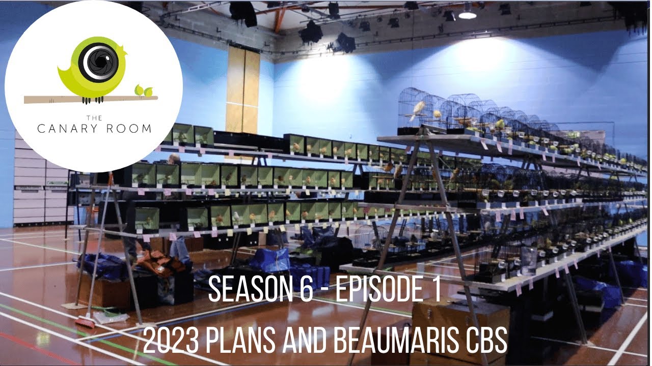 «Канарская комната», сезон 6, серия 1 — планы на 2023 год и Бомарис CBS