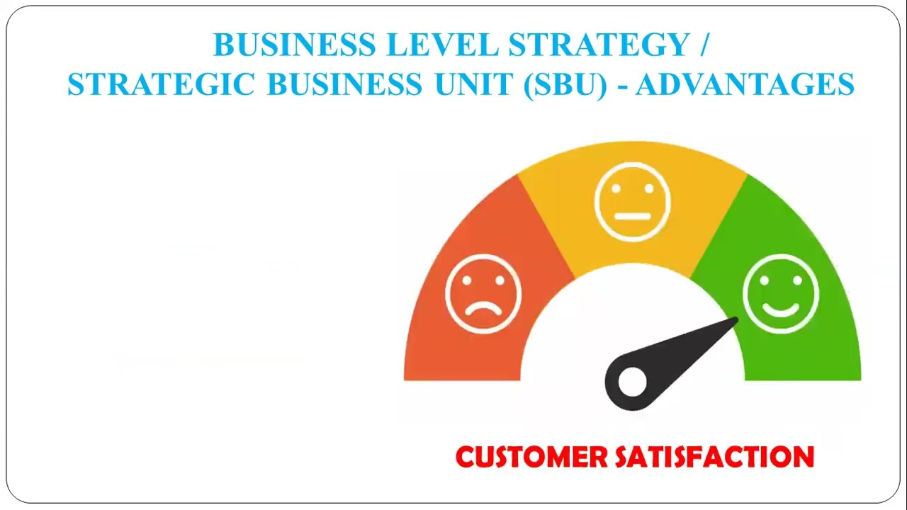 17 -  Business Level Strategy - Strategic Business Unit (SBU)