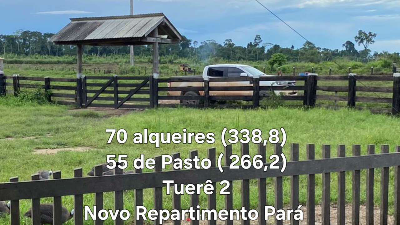 70 alqueires ( 338,8 ha) A Venda em Novo Repartimento Pará 