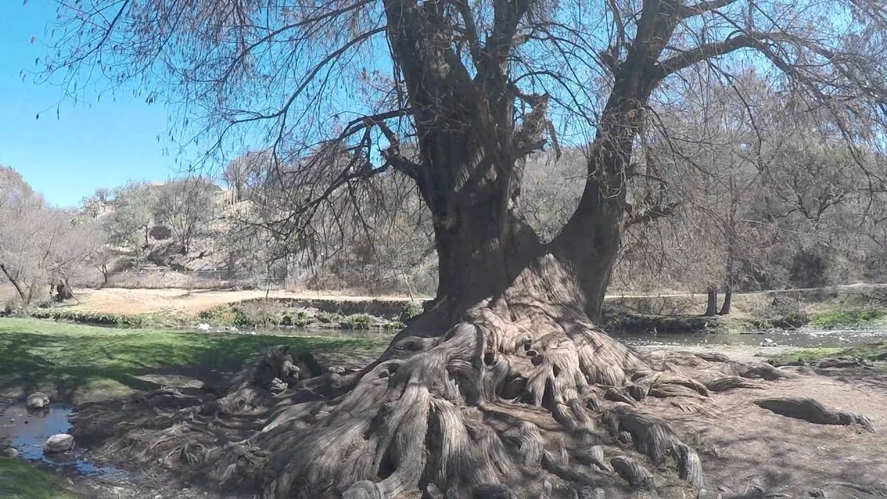 El Sabinal, Aguascalientes