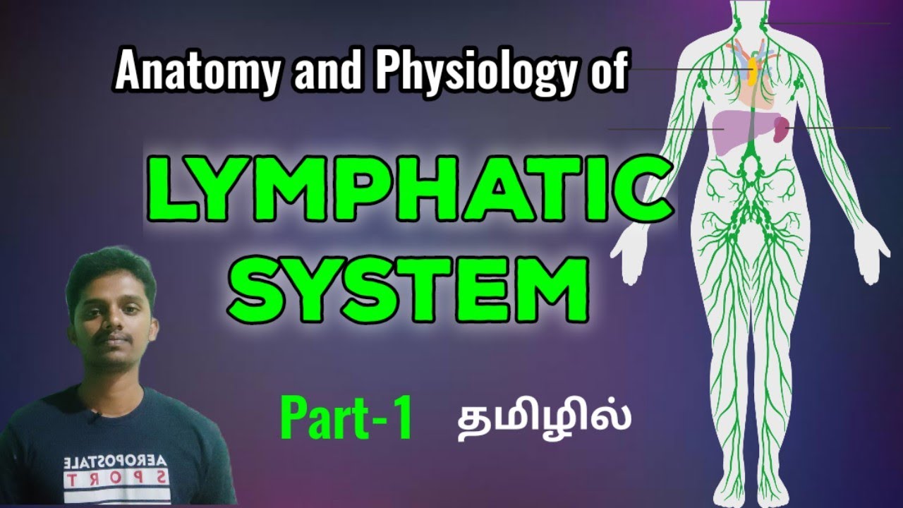#9 Anatomy and Physiology of Lymphatic System in Tamil | Part-1