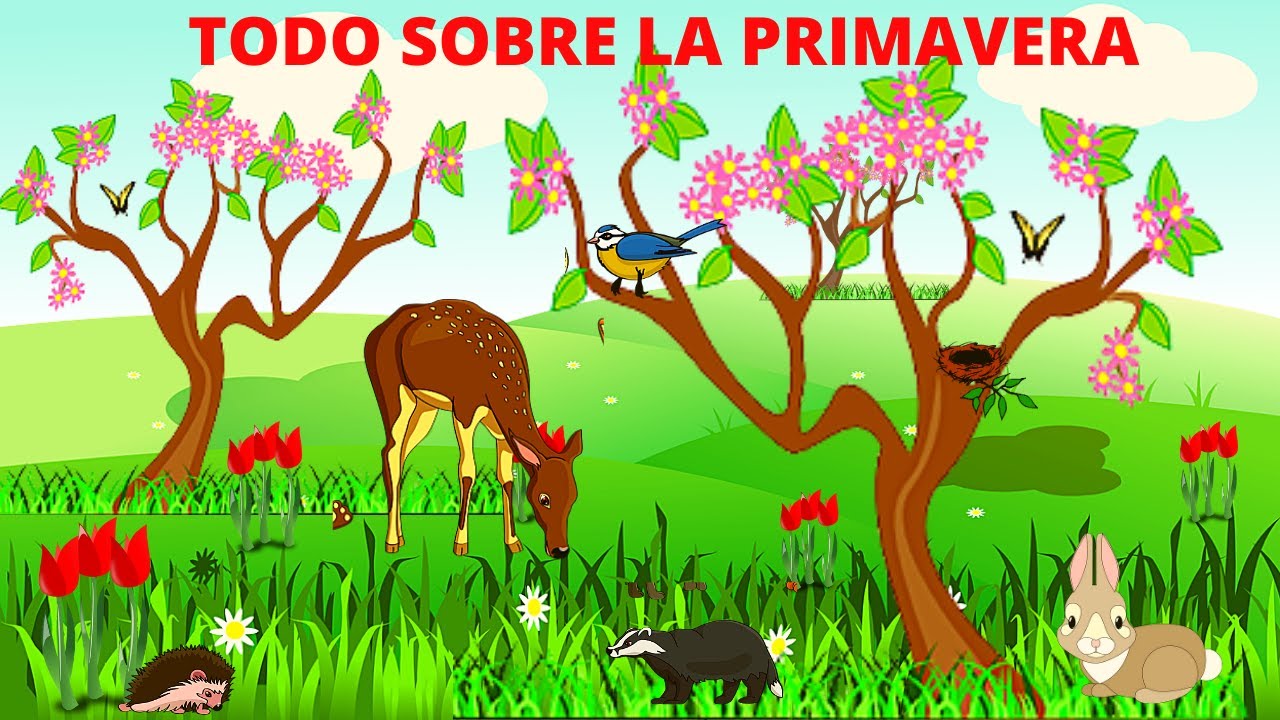 LA PRIMAVERA PARA NIÑOS/ TODO SOBRE LA PRIMAVERA/ En Español