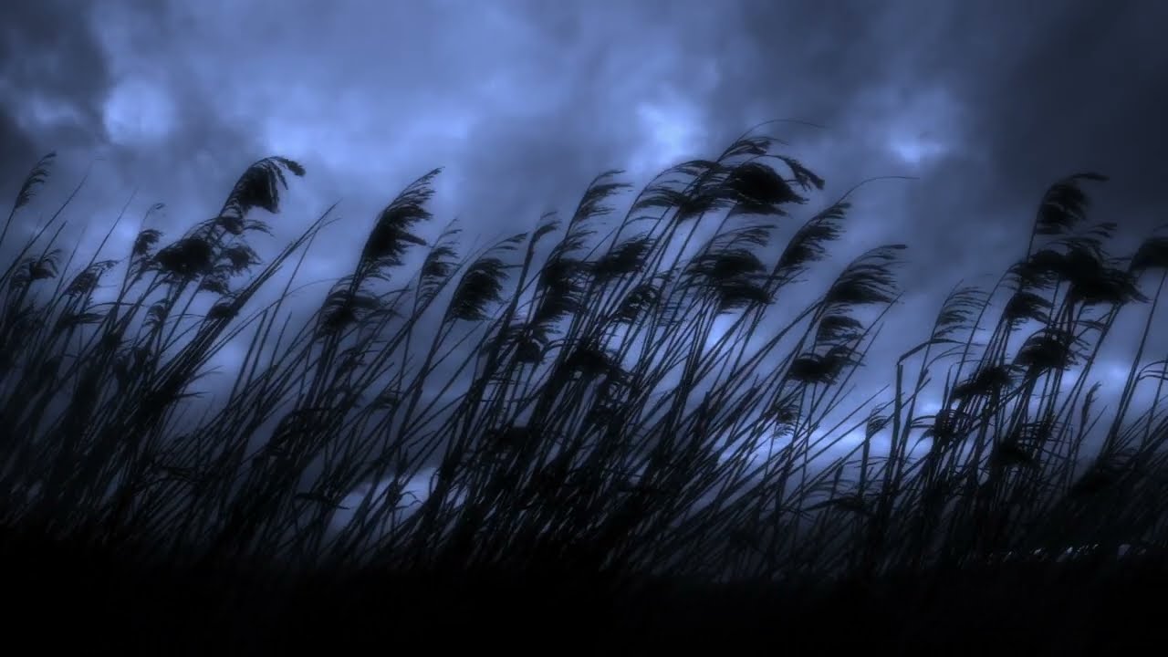 Musikvideo Gravity - Anders Widmark & Helen Sjöholm