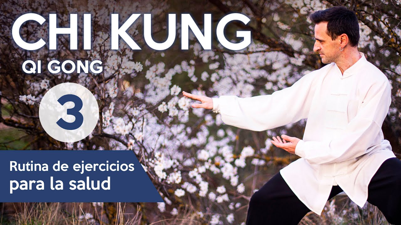Chi Kung | QI GONG PARA LA SALUD | Shi Ba Shi 3 de 3