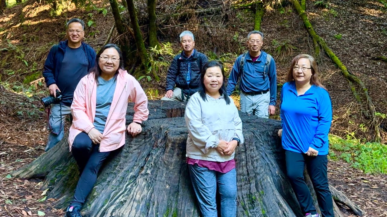 Hiking in Oakland Redwood Regional park - 2/28/2026