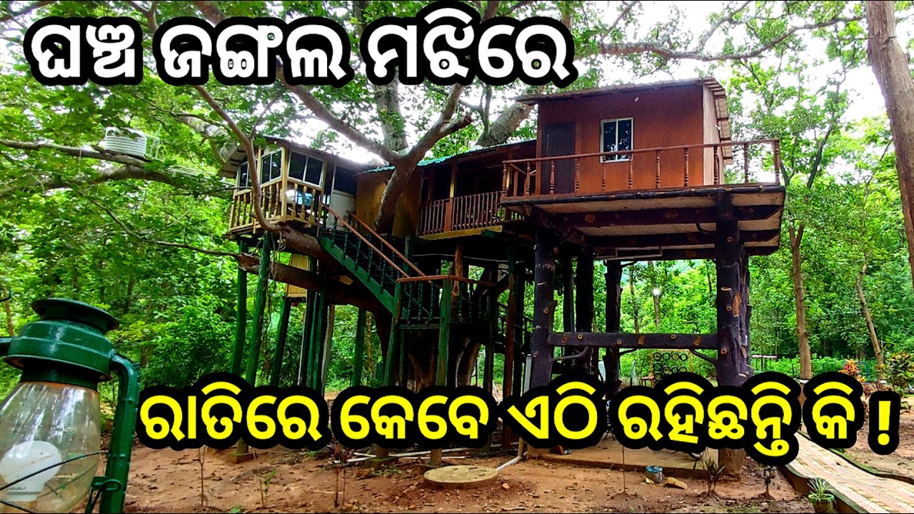 Life ରେ ଏମିତି ଜାଗା କେବେ ଦେଖିନି  | Giant squirrel home stay | Nature camp | Odisha Tourism