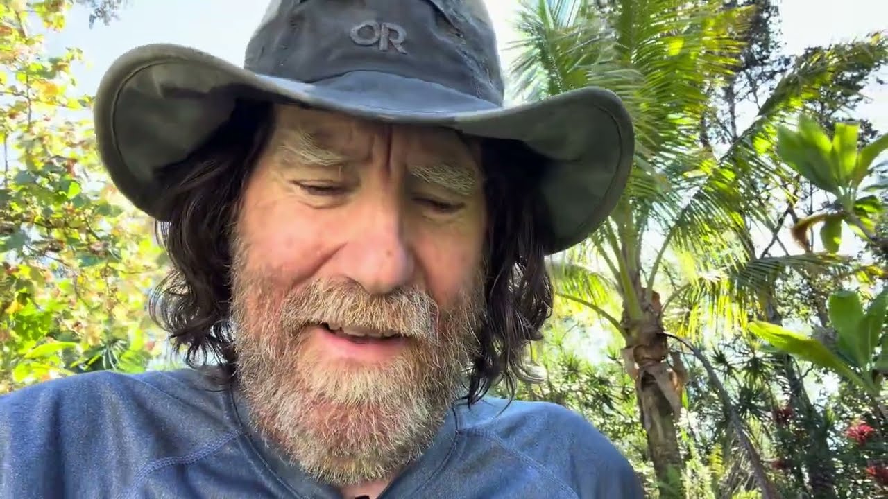 One Battery & Two Panels Completely Changed My Off-Grid Power in Hawaii's Dark Days