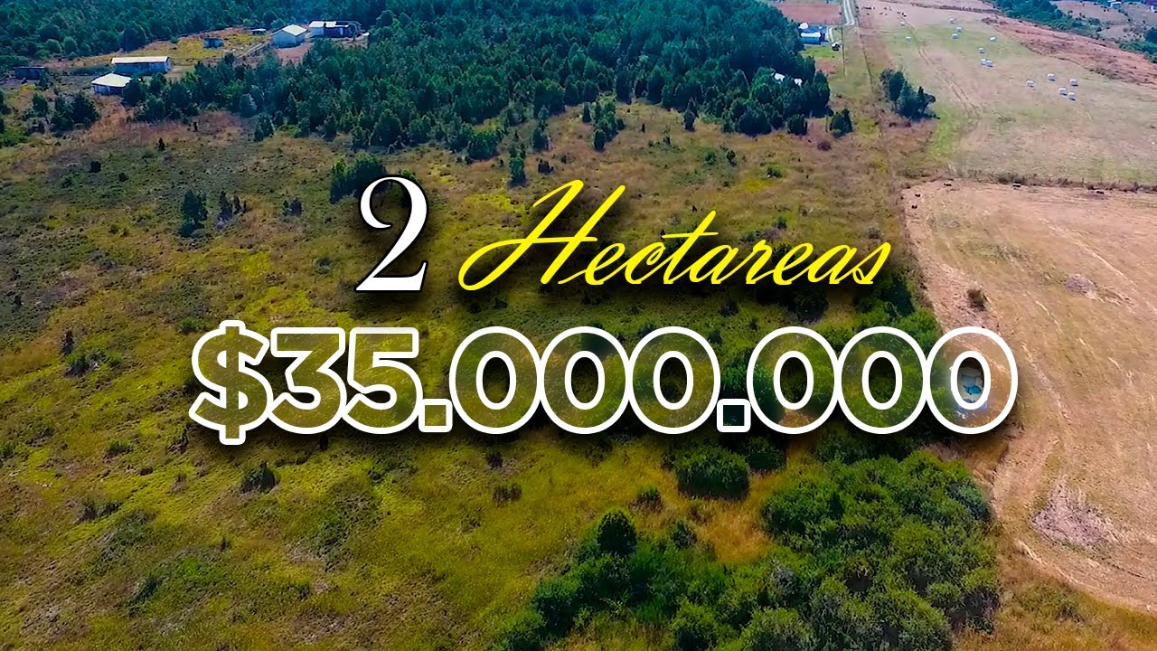 2 Hectareas en Venta - Maullin, Los Lagos