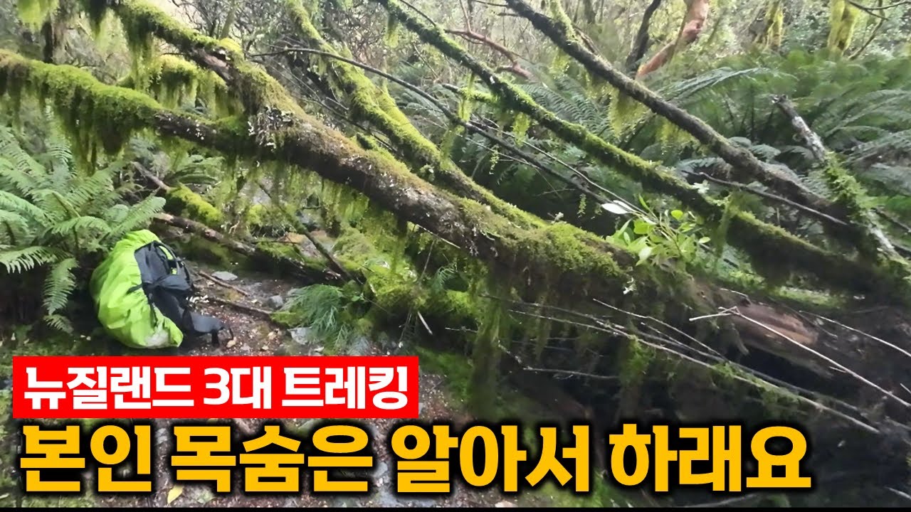 위험을 감수하고 들어간 비수기 시즌의 밀포드 사운드 트레킹 / 뉴질랜드 5