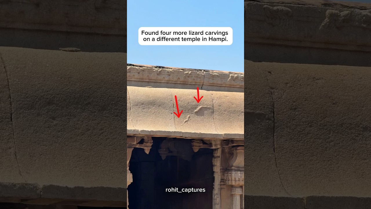 What might be the reason so many temples have these lizard carvings? #hampi #ytshorts #shorts