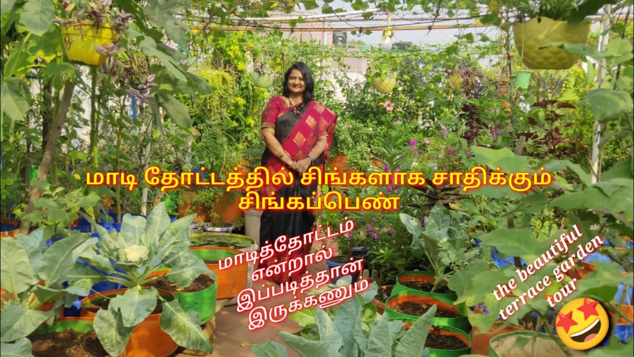 மாடி தோட்டம் என்றால் இப்படி இருக்கனுங்க 🤩 the beautiful terrace garden tour#மாடிதோட்டம்