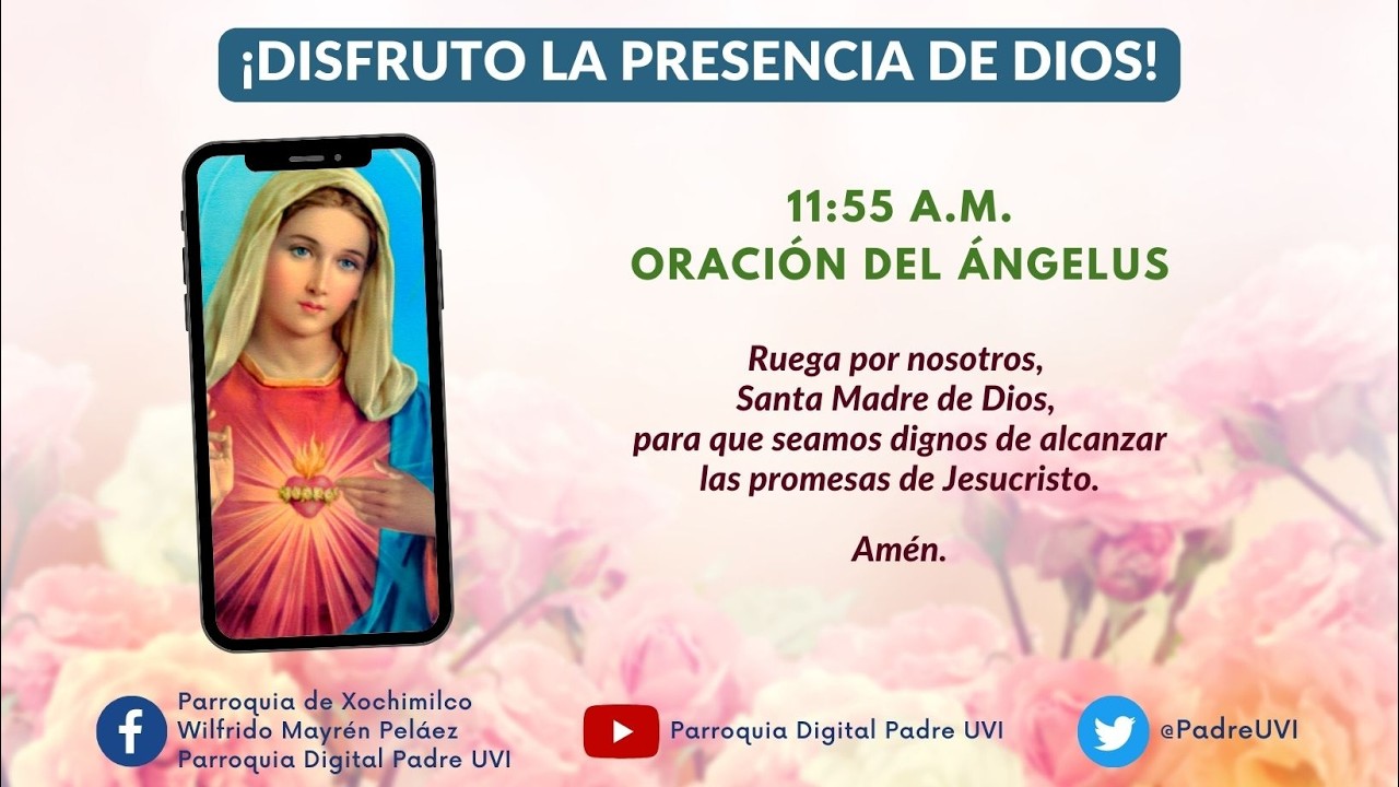 🙏💜ORACIÓN DEL ÁNGELUS, MARTES 17 DE MARZO DE 2026💜🙏