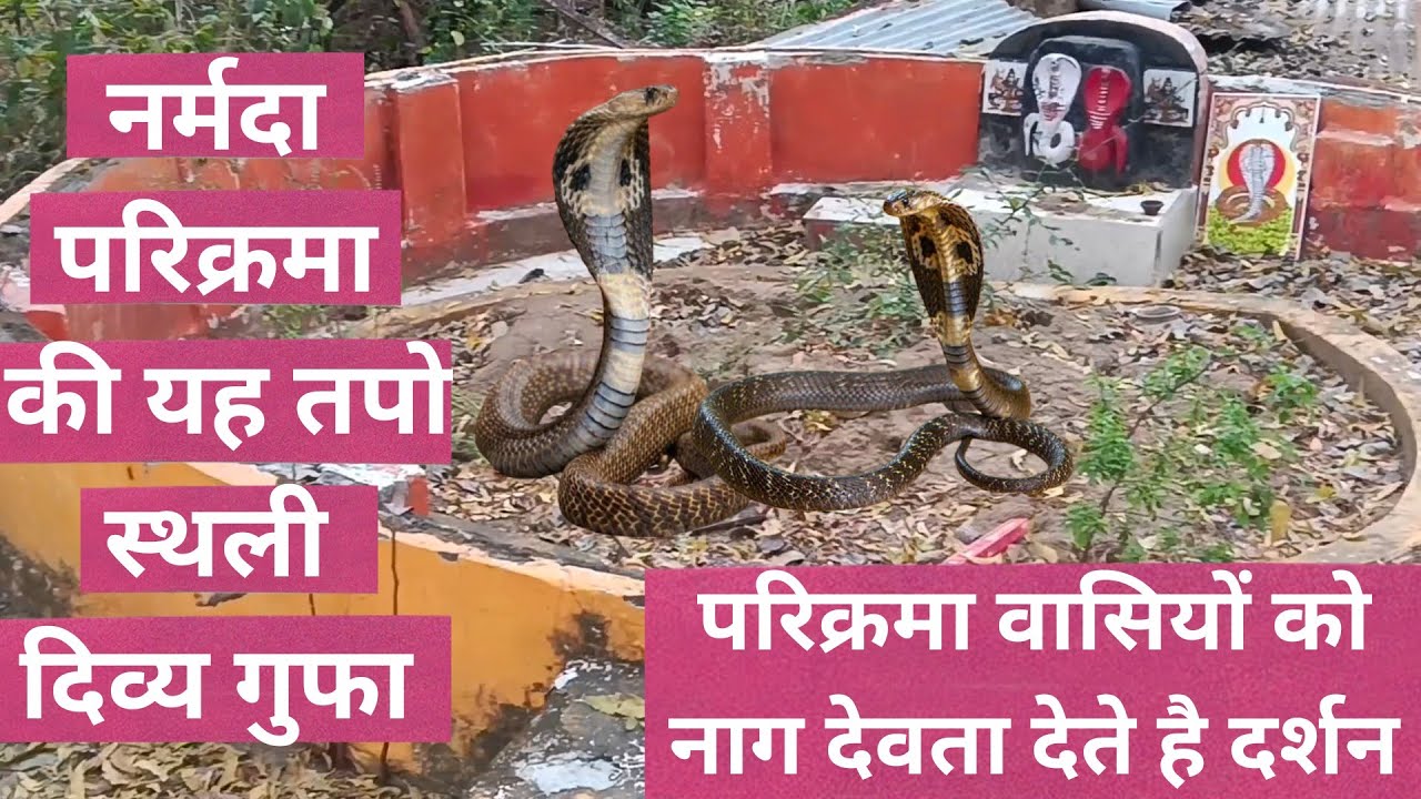 नर्मदा परिक्रमा में नाग देवता देते हैं परिक्रमा वासियों को दर्शन, और मादव्य ऋषि की दिव्या गुफा 