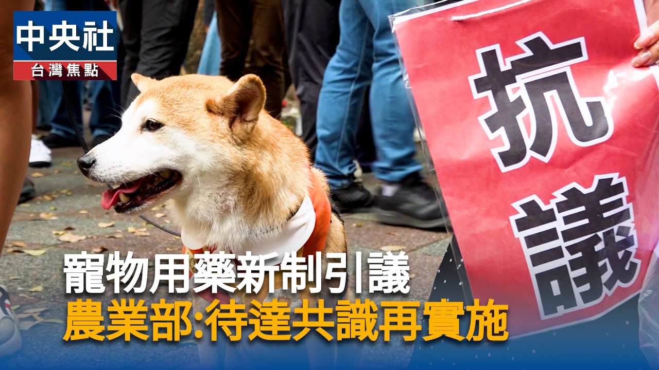 寵物用藥新制引議　農業部:待達共識再實施｜中央社影音新聞