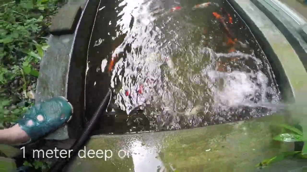 ASMR Cleaning the Sunsun filter 350 pond maintenance