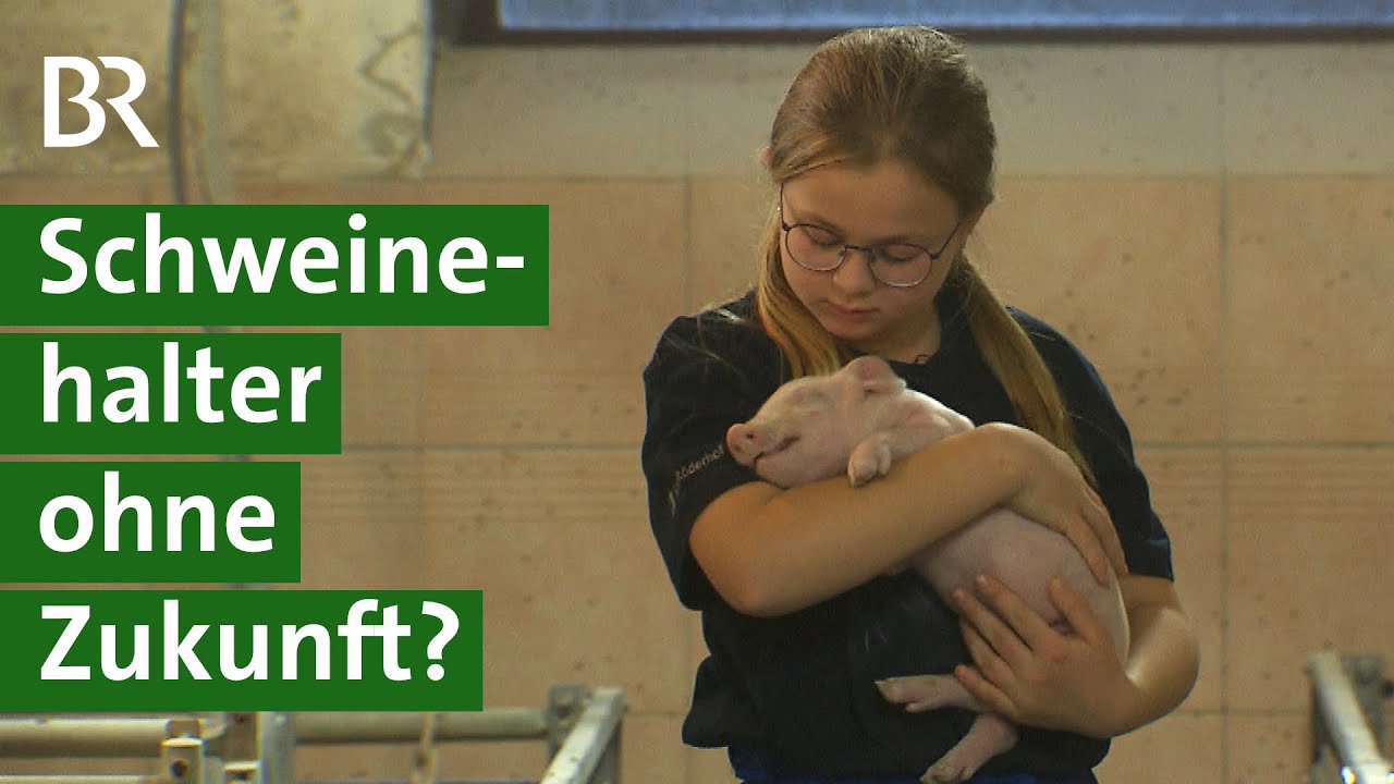 Schweinehalter in der Krise: Wird es ein staatliches Ausstiegsprogramm geben? | Unser Land | BR