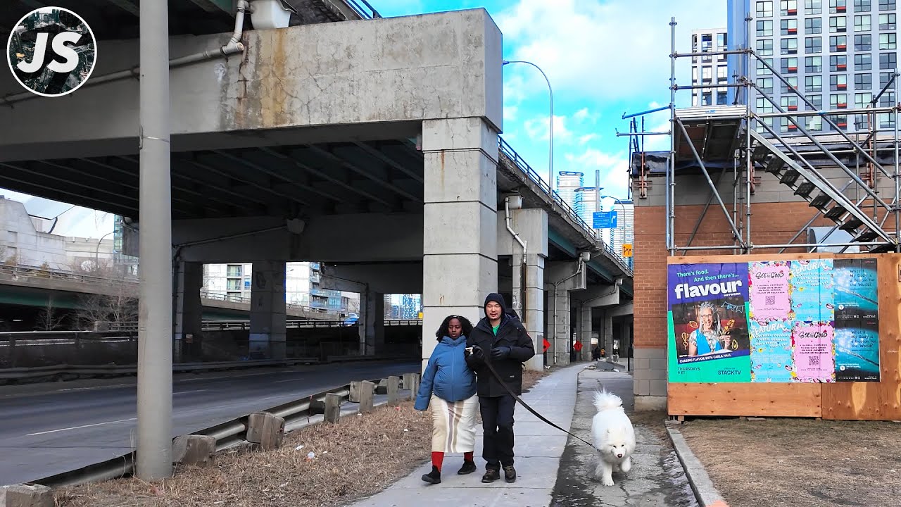 Lake Shore Under the Crumbling Gardiner Expressway | Toronto Walk (Jan 2025)